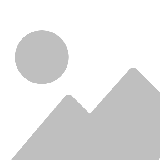 JavaScript Developer