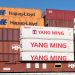 Containerterminal