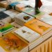 A diverse collection of books neatly arranged on a table indoors.