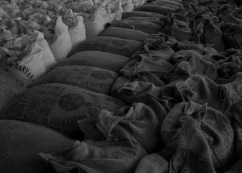 Black and white image of neatly stacked sacks filled with grain, showcasing market storage.
