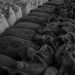 Black and white image of neatly stacked sacks filled with grain, showcasing market storage.
