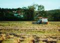 Tractor harvesting rice in a lush field in Kon Tum, Vietnam.