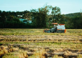 Tractor harvesting rice in a lush field in Kon Tum, Vietnam.