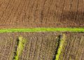An aerial view showcasing plowed fields with a green pathway running through the middle, symbolizing agriculture.