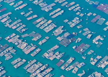 Aerial photo capturing extensive fish farms with grid-like structures in deep blue waters.