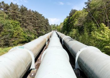 Large industrial pipeline traversing through a green forest in Geesthacht, Germany.