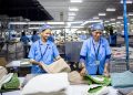 Indian blue-collar workers sorting textiles in a brightly lit factory setting, showcasing teamwork and industry.