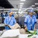 Indian blue-collar workers sorting textiles in a brightly lit factory setting, showcasing teamwork and industry.