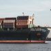 Cargo ship with containers and cranes in Hamburg port.