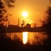 Sunrise over an industrial area reflected on water with silhouette of trees.