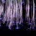 Close-up of glowing fiber optic lights with a purple and blue bokeh effect.