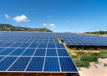 A vast field of solar panels harnessing solar energy on a sunny day.