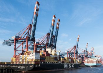 Container ships and cranes at Hamburg port showcasing bustling shipping activity.