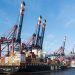 Container ships and cranes at Hamburg port showcasing bustling shipping activity.