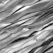 Detailed black and white image showcasing intricate woven palm leaves texture.