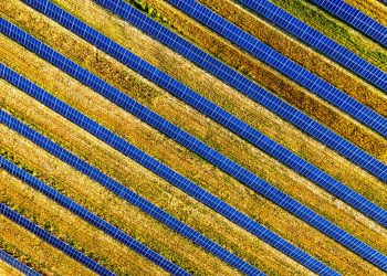 Vibrant aerial shot of solar panels in a field, showcasing renewable energy in Red Wing, MN.