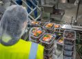 Worker managing date packaging in a modern industrial facility, ensuring quality control.