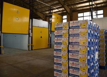 出口易腐烂变质食品冷冻品集装箱适载检验新规10月1日施行